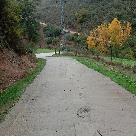 Tatil Evi O Cantinho D'abelheira