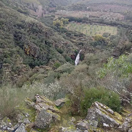 O Cantinho D'abelheira