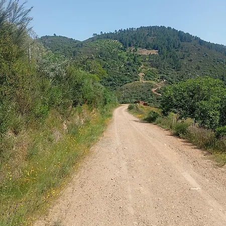 O Cantinho D'abelheira Falgueiras