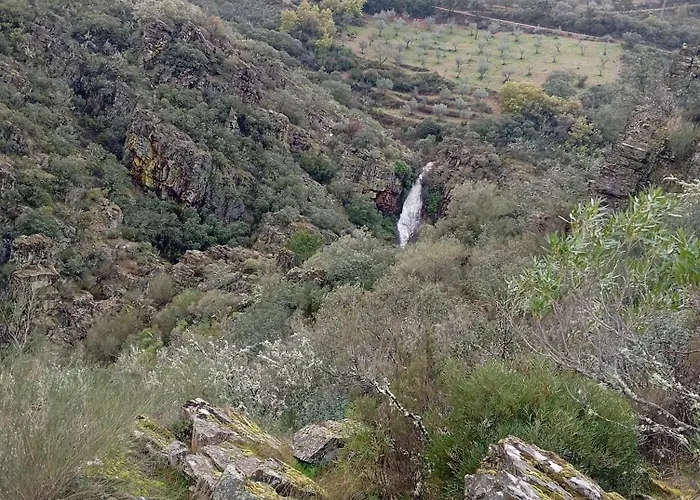 O Cantinho D'abelheira